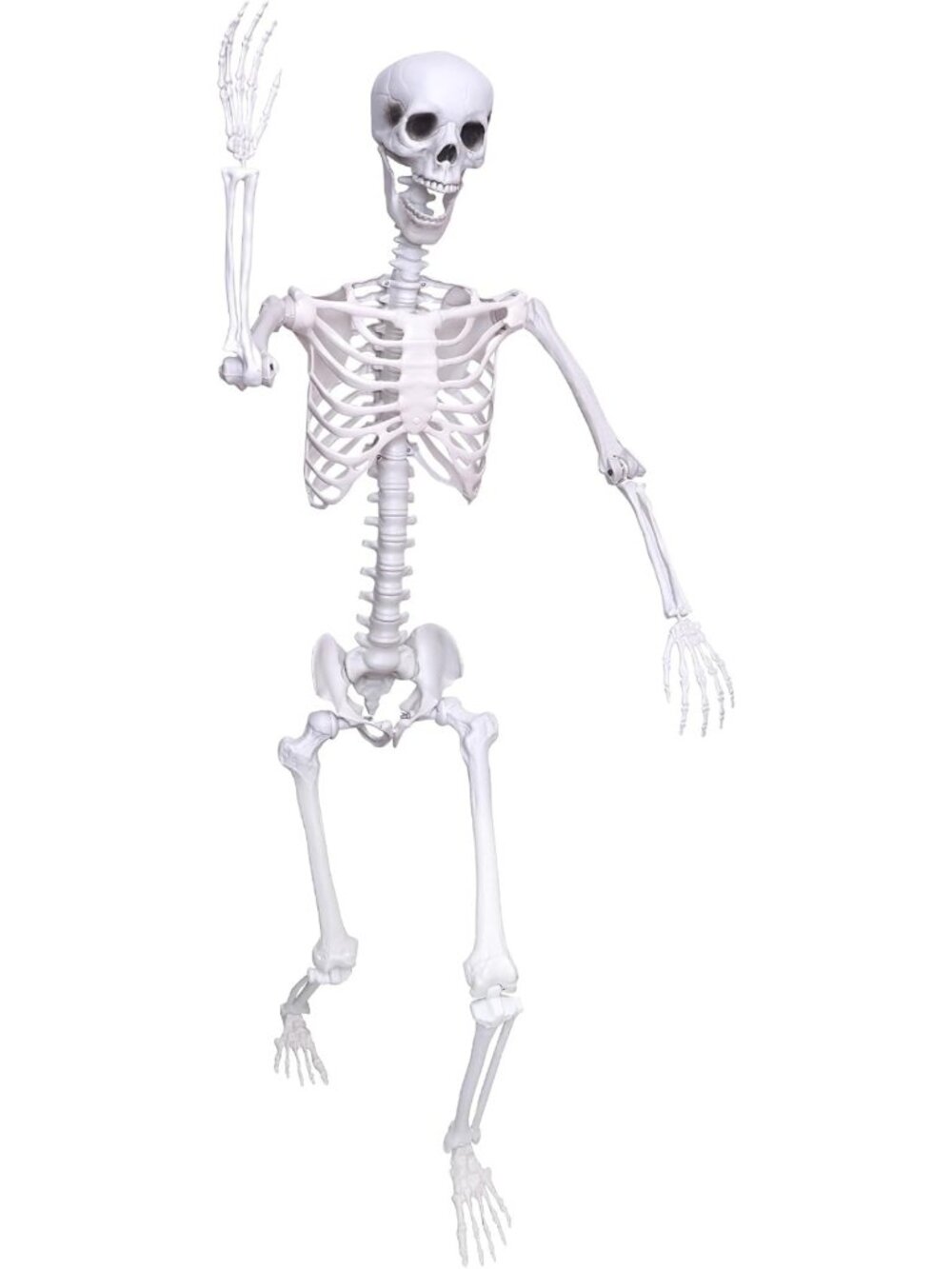 Life-Size Posable Halloween Skeleton - 5.9ft Plastic Full Body Decor for Spooky